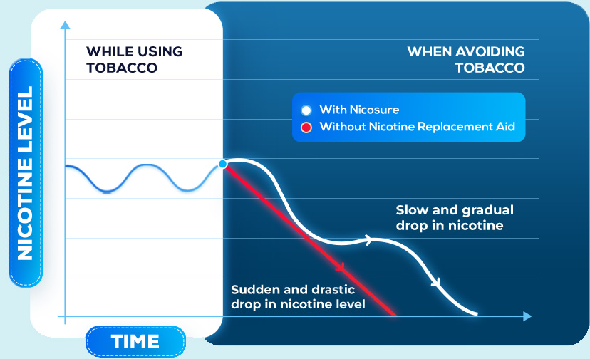 Comparison graph showing nicotine levels with and without the use of nicotine replacement products