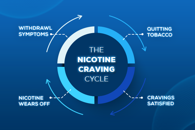 Nicotine Craving Cycle