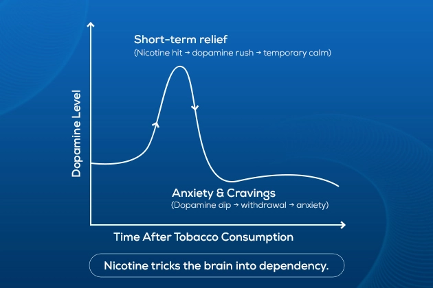 dopamine spike due to tobacco