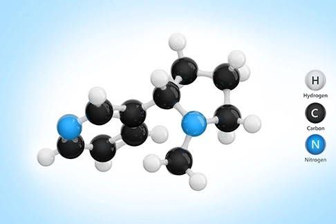 nicotine molecule structure