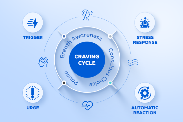 Craving Cycle