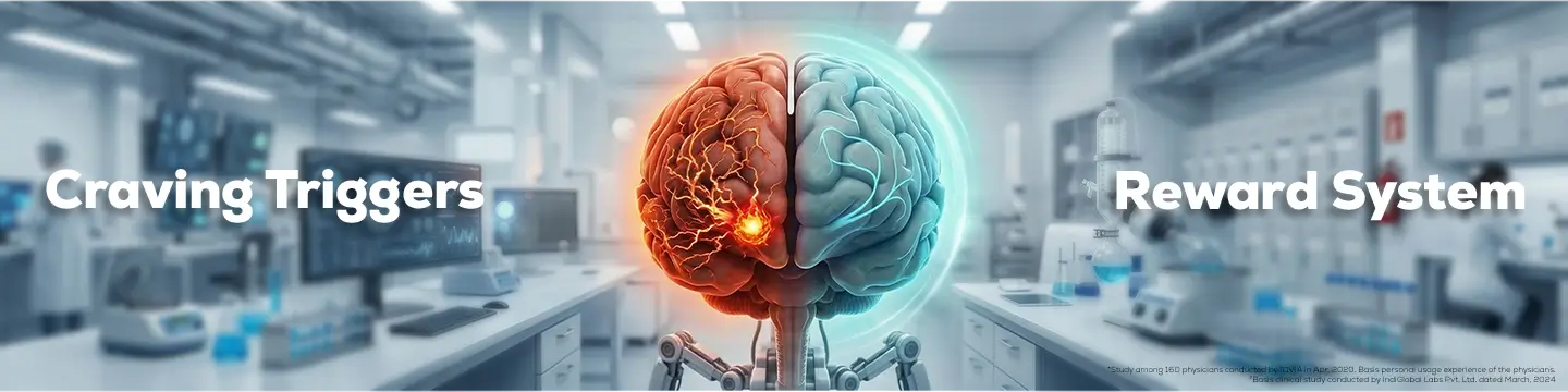 Brain reward system and craving triggers
