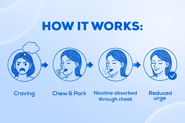 how does nicotine gum works