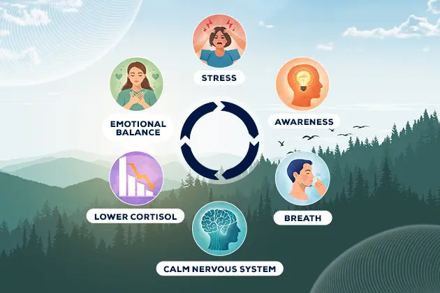 stress reduction cycle