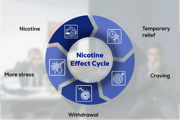 nicotine effect cycle