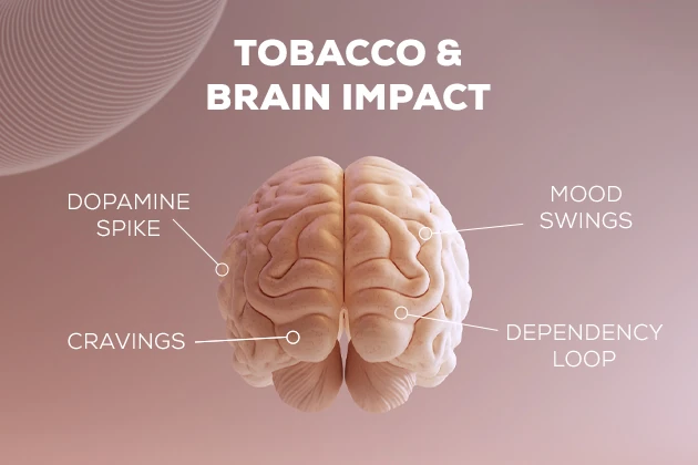 Mental Effects of Nicotine