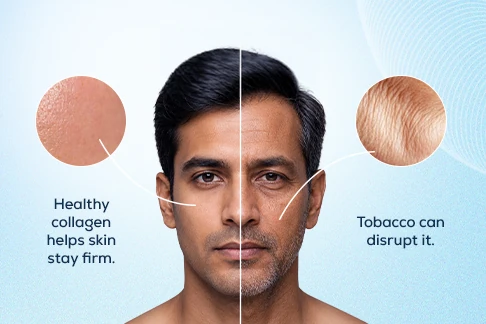 Healthy collagen versus tobacco-damaged collagen